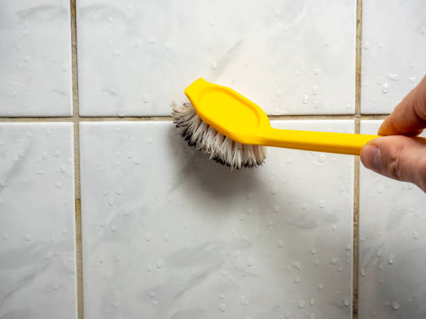 Certified Mold Removal in North Yelm, WA