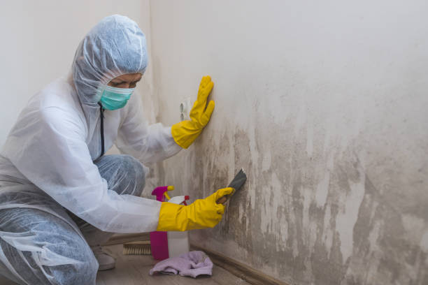 Best Certified Mold Removal  in North Yelm, WA