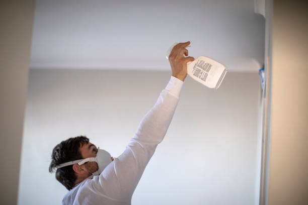 Best Mold Removal Company Near Me  in North Yelm, WA
