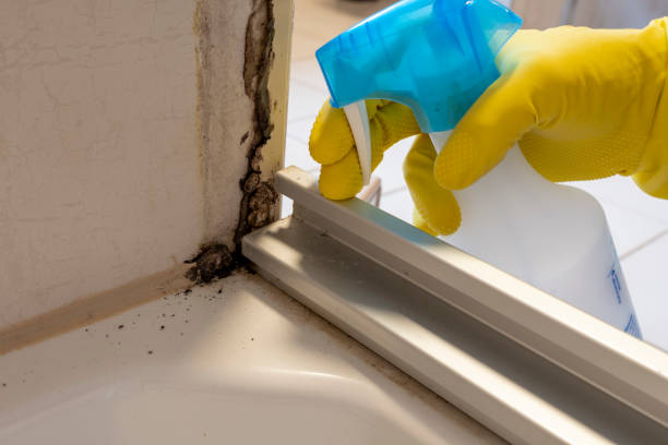 Best Mold Cleaning Services  in North Yelm, WA